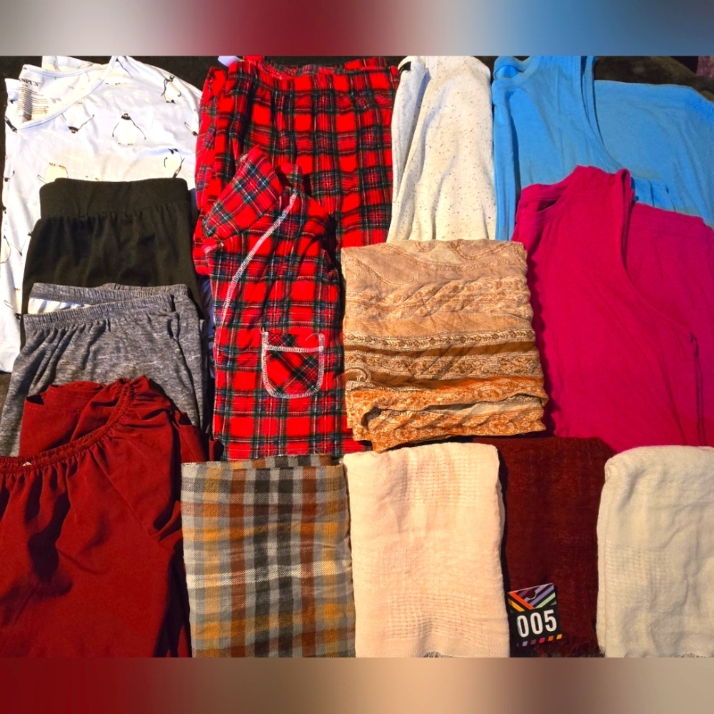 Lot/Bundle of 14 Womens Clothing & Scarves (XL)